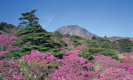 漢拏山國家公園